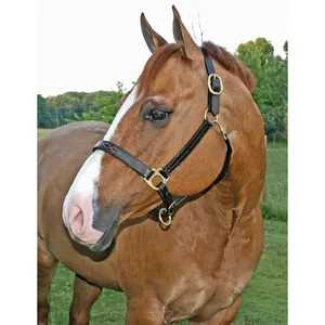 Cabestro de cuero resistente personalizado para caballos, fabricado en India, con correas de nailon ajustables, precio al por mayor. - Product Image 1