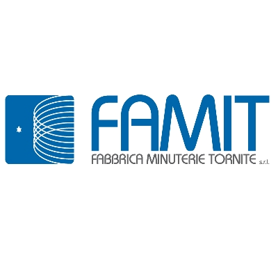 FAMIT SRL logo