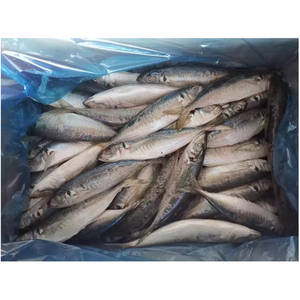 Pescado Atún Congelado Premium a Granel, Venta Caliente de Mariscos, Atún del Pacífico Entero Congelado para Alimentos Enlatados - Product Image 2