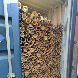 Paquete de Varas de Bambú de Vietnam de 1-10 m de Largo, Sólidas y Gruesas para Agricultura, Construcción y Decoración del Hogar - Product Image 3