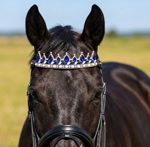 Fronture de luxe style couronne pour cheval avec cristaux bleus et blancs – Accessoire d'équestre en cuir finition dorée - Product Image 1