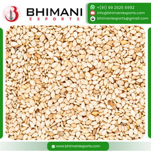 Semillas de Sésamo Blanco de Venta Caliente, Tamaño Uniforme, Alto Contenido de Aceite, Certificación FSSAI, Empaque a Granel para la Fabricación de Tahini y Pasta - Product Image 4