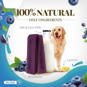 Friandises pour chiens au fromage de lait de yak de l'Himalaya, durables, longue durée, riches en protéines, saveurs myrtille, OEM ODM, marque privée, approvisionnement en gros - Product Image 2
