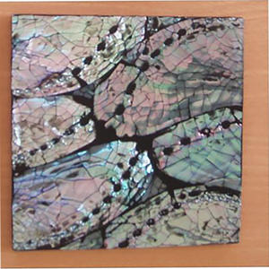 ที่รองแก้วเปลือกหอยเป๋าฮื้อ แก้วและแผ่นรองจาน ลายเปลือกหอยเป๋าฮื้อ ขนาด 10x10 ซม. - Product Image 2