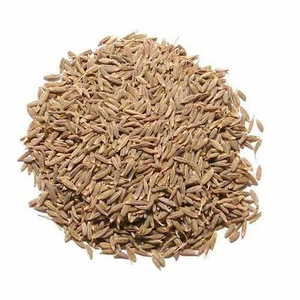 ข้อเสนอสุดพิเศษ คุณภาพพรีเมียม ยี่หร่าอบแห้งบริสุทธิ์ 100% แบบปรับแต่งได้ ยี่หร่าเม็ดเต็ม ซิงคโปร์ 1% 500 กก. Spicecentra อายุการเก็บรักษา 12 เดือน - Product Image 1