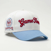 Gorra de Béisbol Deportiva Personalizada con Bordado 3D en Relieve, Visera Curva de Perfil Alto, Ajustable, Estructurada, de 5 Paneles, con Logotipo OEM ODM