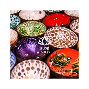 Bol en Coque de Noix de Coco de Qualité Supérieure, Vaisselle Écologique pour Servir les Desserts et Présenter les Aliments, Matériel Propre et Sûr pour les Acheteurs B2B - Product Image 1