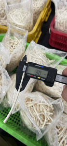 Low Cost Frozen Shredded Taro Uniform Long Shreds for Korea Restaurant Market Direct Factory Sale Wholesale Bulk Supply - Product Image 5