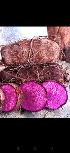 Vietnam Frozen Yam Uniform Cut IQF Bulk Supply for Catering and Kitchens - Product Image 3