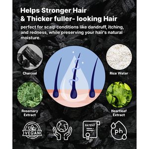 Bola de champú para el cabello y el cuero cabelludo todo en uno de carbón negro ERIGERON - Product Image 2