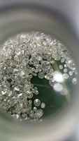 Pierre de diamant naturel non montée, couleur SI FGH, clarté VS, taille brillant excellente, percée au laser, certifiée IGI, diamant mélaux luxueux