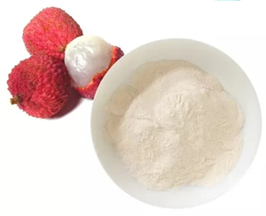 ผงผลไม้ลิ้นจี่ออร์แกนิก ได้รับการรับรองฮาลาล สำหรับวัตถุดิบอาหาร - Product Image 4