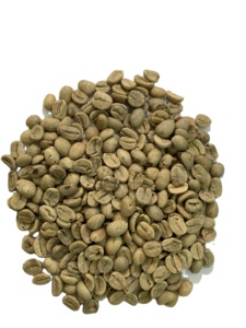 Café Vert Robusta PHALCO de Haute Qualité Grade 1 Tamis 16/18 Vietnam Meilleur Prix Prêt à l'Exportation en Sac de Jute - Product Image 2