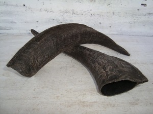 Pares de Cuernos de Cabra Naturales, Acabado Rústico Ecológico, Nueva Colección de Alta Calidad para Decoración y Manualidades - Product Image 1