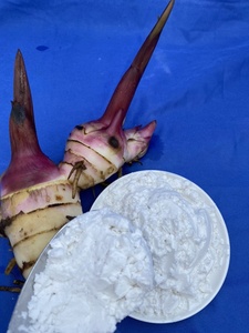 Almidón de Arrowroot de la Mejor Calidad, Harina Blanca en Polvo, Tipo Nativo de Vietnam - Product Image 2