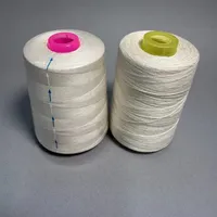 Fil à coudre 32S/2 100% polyester résistant aux hautes températures, écologique, pour crochet, point de croix, broderie, finition semi-mate