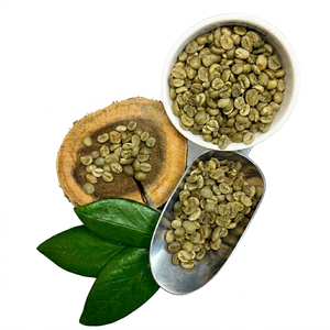 Granos de Café Verde al por Mayor # Café Verde 100% Arábica, Origen Son La, Vietnam, Bolsa a Granel de 60 kg - Product Image 1