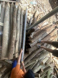 Estacas de Madera de Eucalipto Duraderas a Precio Económico, Postes de Madera Dura para Soporte de Plantas, para Jardín, Árboles, Enredaderas y Uso en Paisajismo - Product Image 2
