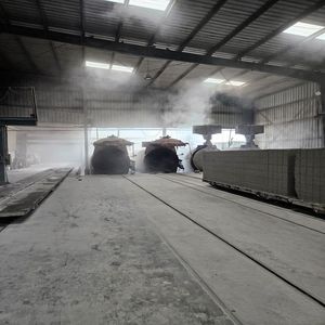 Polvo de Cenizas Volantes Sostenible, Impermeable, Duradero y Versátil para la Construcción de Concreto, Soluciones Totales para Baños Exteriores - Product Image 3