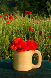 Tazas de Cerámica de Nueva Llegada, Tazas de Madera Sostenibles para Disfrutar de tu Bebida Favorita de la India - Product Image 2