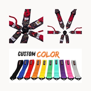FIA 8853 2016 Certified SPORT PLUS 5 Racing Harness 6 <b>Point</b> OEM ODM Custom Logo Color For Professional Motorsport - Product Image 1