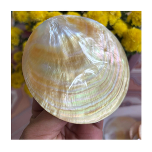 Meilleurs cadeaux 2026 : Assiette décorative de luxe faite à la main en nacre naturelle avec forme de poisson rond argenté et doré - Product Image 3