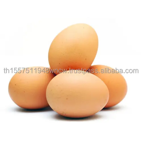 Peternakan Telur Meja Ayam Segar Coklat dan Putih Telur Ayam Di Perancis Gaya Rak Warna Asal