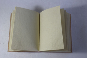 Cameleon Exports BA06 Carnet Couverture Papier Rose Motif Bananier en Relief 100 Feuilles Style Imprimé Usage Promotionnel - Product Image 3