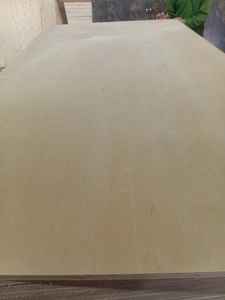 Contrachapado de abedul con núcleo de eucalipto, marca FOMEXGREEN WOOD, calidad B/BB, BB/CP, CP/CP, contrachapado de abedul báltico - Product Image 2