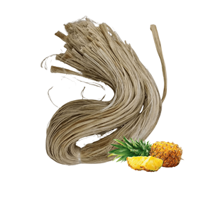 Export Quality Best Selling Vietnam Manufacturer Supply Natural <b>Pineapple</b> Leaf Fiber Packed in Bales - Product Image 1