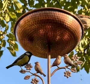 Meilleur Bain d'oiseaux élégant et respectueux des oiseaux pour jardin, en métal, bol en cuivre avec support en fer, couleur noire, fait main - Product Image 6