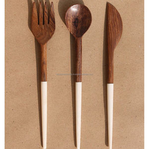 Meilleure cuillère à manche en bois de manguier et résine pour la salle à manger et la cuillère de service à un prix très raisonnable par Tayyab Handicraft - Product Image 5