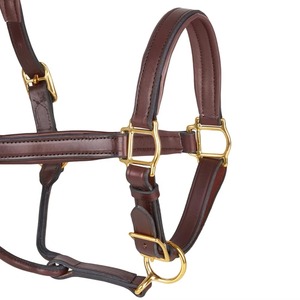 Harnais pour cheval en cuir tressé personnalisable, disponible dans toutes les couleurs, avec des accessoires en laiton massif, réglable, confortable et durable - Product Image 5