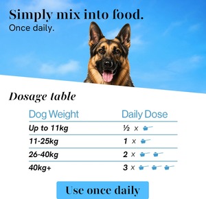 Friandises Naturelles pour les Hanches et les Articulations des Chiens et des Chats – Soutien à la Santé Articulaire, Mobilité et Bien-être – Friandises Tendres – OEM ODM Marque Privée Vente en Gros - Product Image 4