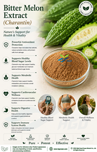 Hgo สารสกัดจากมะระ/มะระขี้นก/สารสกัดจากมะระชารันตินจาก10% มาตรฐาน - Product Image 4