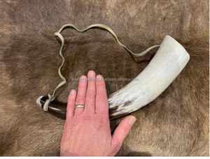 Corne de bœuf avec sangle en cuir, corne de vache véritable polie, style animal - Product Image 2