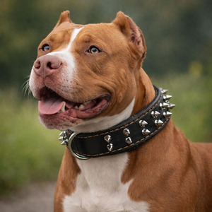 Durable Leather <b>Braided</b> Dogs pet Collars crafted from premium leather for comfort and control in wholesale price - Product Image 4