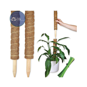 Poste de Musgo de Coco Natural Sostenible, el Más Vendido – Estacas de Escalada Resistentes para Monstera, Venta al por Mayor - Product Image 1