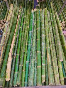 Top Choice Bamboo <b>Poles</b> <b>For</b> Construction And Structural Applications - Product Image 5