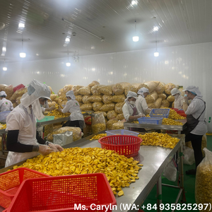 <b>Best</b> Price 2025 High Quality Dried Jackfruit Chips 100% Original Sweet Freeze-Dried Vietnamese Jackfruit by 99 Gold Data - Product Image 2
