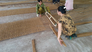 Hot Trend Coconut Fiber <b>Net</b> from Vietnam for Concrete and Spinning Applications - Product Image 5