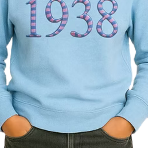 เสื้อสเวตเชิ้ตปักลายนูน 3 มิติ สีฟ้าอ่อนสำหรับเด็กผู้หญิง เสื้อแขนยาวลำลอง สวมใส่สบายทุกวัน เสื้อผ้าสไตล์ไลฟ์สไตล์ - Product Image 5