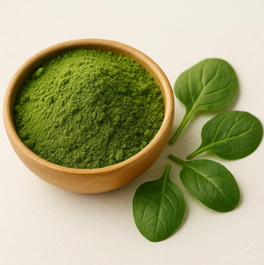Premium Spinatpulver Spinacia Oleracea Natürliches Grünes Blattpulver für Lebensmittelverarbeitung Smoothies Würzmittel Großhandel Großmengenlieferung - Product Image 1
