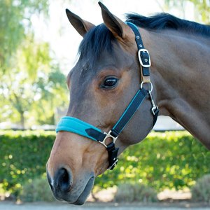 Harnais pour cheval en polypropylène avec broderie de logo, harnais en nylon pour cheval, plusieurs couleurs, équipement d'équitation - Product Image 2