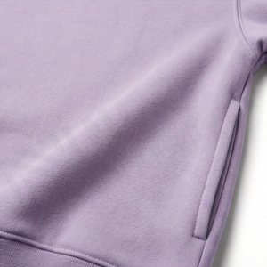 Sudadera con Capucha Lisa de Otoño, Bordado e Impresión, Felpa de Algodón Suave, Sudadera Lisa, Venta al por Mayor Directa de Fábrica, Color Personalizado - Product Image 5