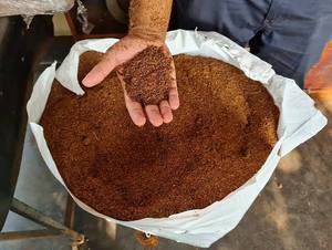 100% Natural Coconut <b>Coir</b> Pith Cocopeat <b>Block</b> for Greenhouse and Soil Improvement - Product Image 3