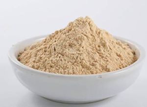 Polvo de Ajo Fino Premium para Formulaciones Alimentarias Instantáneas, Exportador de la India al Mejor Precio - Product Image 3
