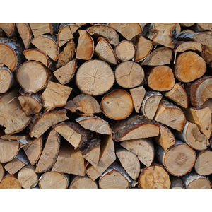 Venta al por mayor de troncos de madera de teca personalizados, madera de pino y madera dura roja/Troncos de madera de eucalipto en oferta con precio económico para el mercado mundial - Product Image 6