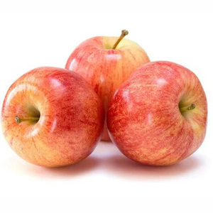 Ventes chaudes Nouvelle saison Fruits frais et sucrés Pomme rouge Fuji - Product Image 5