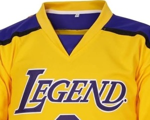 Empresa de fabricación de camisetas y uniformes de hockey sobre hielo que ofrece pedidos de alto volumen para equipos y distribuidores - Product Image 3